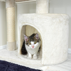 Cat Tree CT08 krabadlo pre maky 76cm